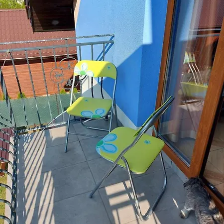 Goscinne Alicja 게스트하우스