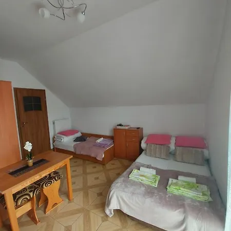 Goscinne Alicja 3* 비치에