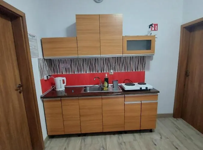 Goscinne Alicja Affittacamere Wicie (West Pomeranian)